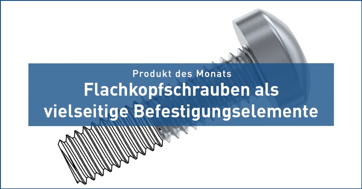 A small product with a big impact! Pan-head screws – a versatile choice of fastening element