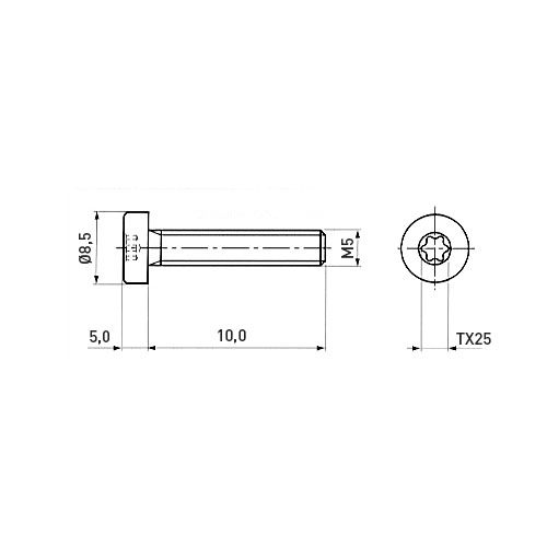 Cheese Head Screw ISO14579 M5x10 A2 Plain Stainless Steel Torx