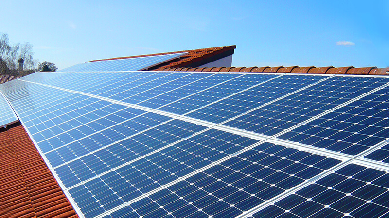 We rely on sustainable manufacturing processes. We rely on sustainable manufacturing processes.