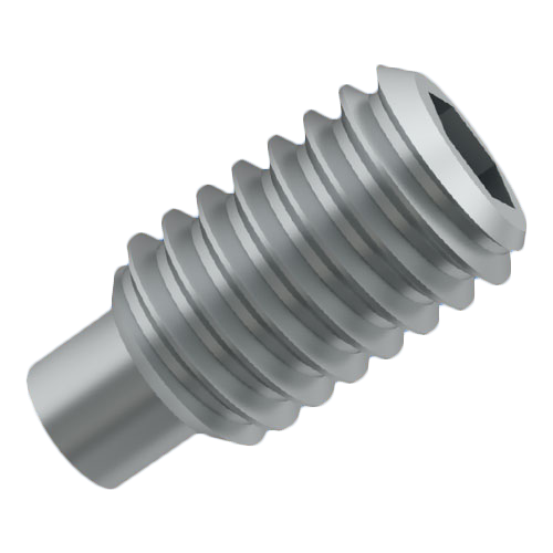 Set screw with hexagon socket and dog point
